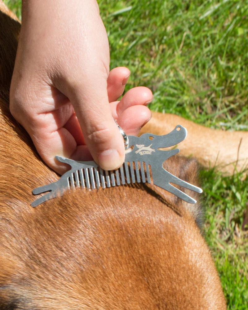 KIKKERLAND Dog Tick Comb Tool W/ Keychain Attachment 2 KIKKERLAND Dog Tick Comb Tool W/ Keychain Attachment - Image 2