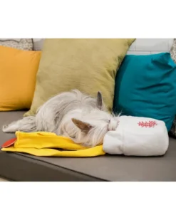 INJOYA Take Out Snuffle Interactive Dog Toy -Pet Sale Shop 10 10ad34c4 3a3b 4e21 9a80 c7473f7e7fa2