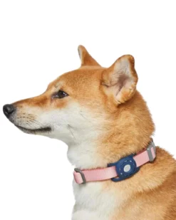 DOGS & CATS & CO. AirTag Holder For Pet Collar -Pet Sale Shop 10 41ee38a7 e75d 42a5 bd15 7d5763c15b9d