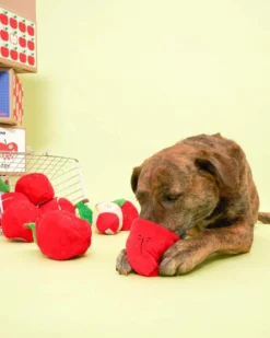 THE FURRY FOLKS Apple Nosework Dog Toy 25 THE FURRY FOLKS Apple Nosework Dog Toy -Pet Sale Shop 10 904318b8 6a1b 424b 8371 e5632edaa003