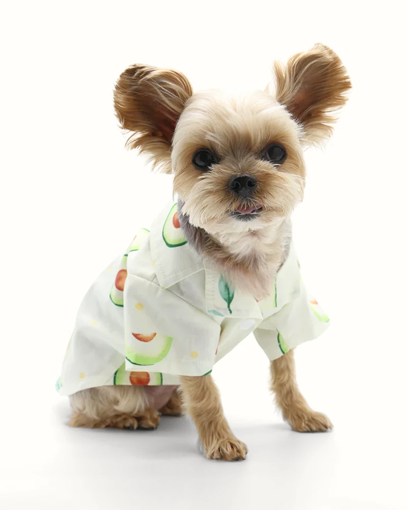 DOGO Avocado Button Dog Shirt For Dogs 3 DOGO Avocado Button Dog Shirt For Dogs - Image 3
