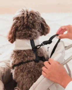 FUZZYARD Multipurpose Carrier & Car Seat 27 FUZZYARD Multipurpose Carrier & Car Seat -Pet Sale Shop 10 c97b48dd 3fbe 4ff2 a90d a3906a856695