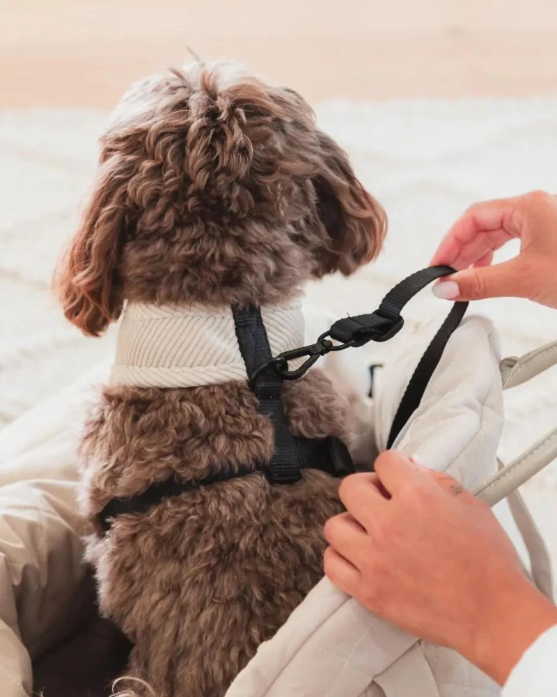 FUZZYARD Multipurpose Carrier & Car Seat 14 FUZZYARD Multipurpose Carrier & Car Seat - Image 14