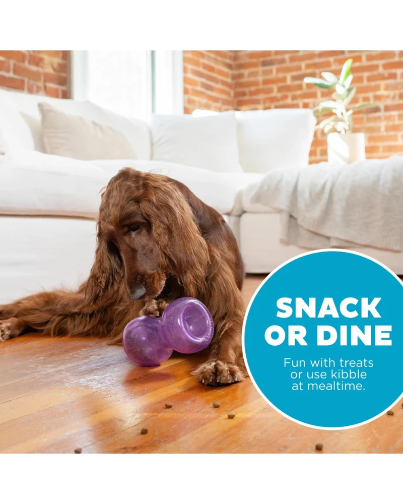 PLANET DOG Double Snoop Interactive Dog Toy (Made In The USA) 6 PLANET DOG Double Snoop Interactive Dog Toy (Made In The USA) - Image 6