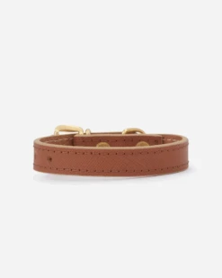 BRANNI Small Dog Collar In Cognac Leather (Made In Italy) (FINAL SALE) 5 BRANNI Small Dog Collar In Cognac Leather (Made In Italy) (FINAL SALE) -Pet Sale Shop 11 31c9ee98 a9f5 441e b80b d79073be13a7