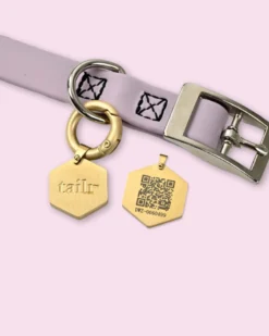 TAILR Tailr QR ID Tag For Pets (Classic Hanging Tag) -Pet Sale Shop 11 bc540f7f 92fc 48aa 8773 81698df54962