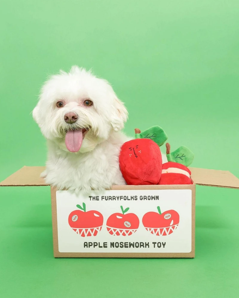 THE FURRY FOLKS Apple Nosework Dog Toy 14 THE FURRY FOLKS Apple Nosework Dog Toy - Image 14