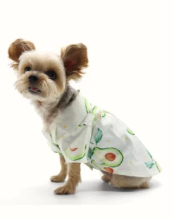 DOGO Avocado Button Dog Shirt For Dogs 11 DOGO Avocado Button Dog Shirt For Dogs -Pet Sale Shop 12 98f995b4 5374 4e47 a571 8b31d2281366