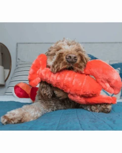 FLUFF & TUFF Manny The Lobster Plush Dog Toy 9 FLUFF & TUFF Manny The Lobster Plush Dog Toy -Pet Sale Shop 12 fdbdbe3b 70cc 4b02 bef7 ec0bea60f52c