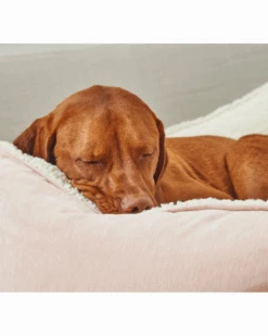 BOWSER'S PET PRODUCTS Scoop Bed In Blush & Ivory Sheepskin (Direct-Ship) -Pet Sale Shop 14 50b146f6 4dfa 4c72 b28d 048039723f77