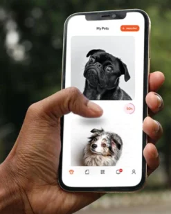 TAILR Tailr QR ID Tag For Pets (Slide Tag) 14 TAILR Tailr QR ID Tag For Pets (Slide Tag) -Pet Sale Shop 14 d29b0358 1125 42f5 bf21 ea6c50517811