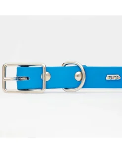 HOT DOGS ALL DRESSED Sky Blue Vegan Leather Dog Collar With Clouds (Made In Canada) -Pet Sale Shop 14 d8fc86cc a20d 4e02 8992 e574bd52ba90