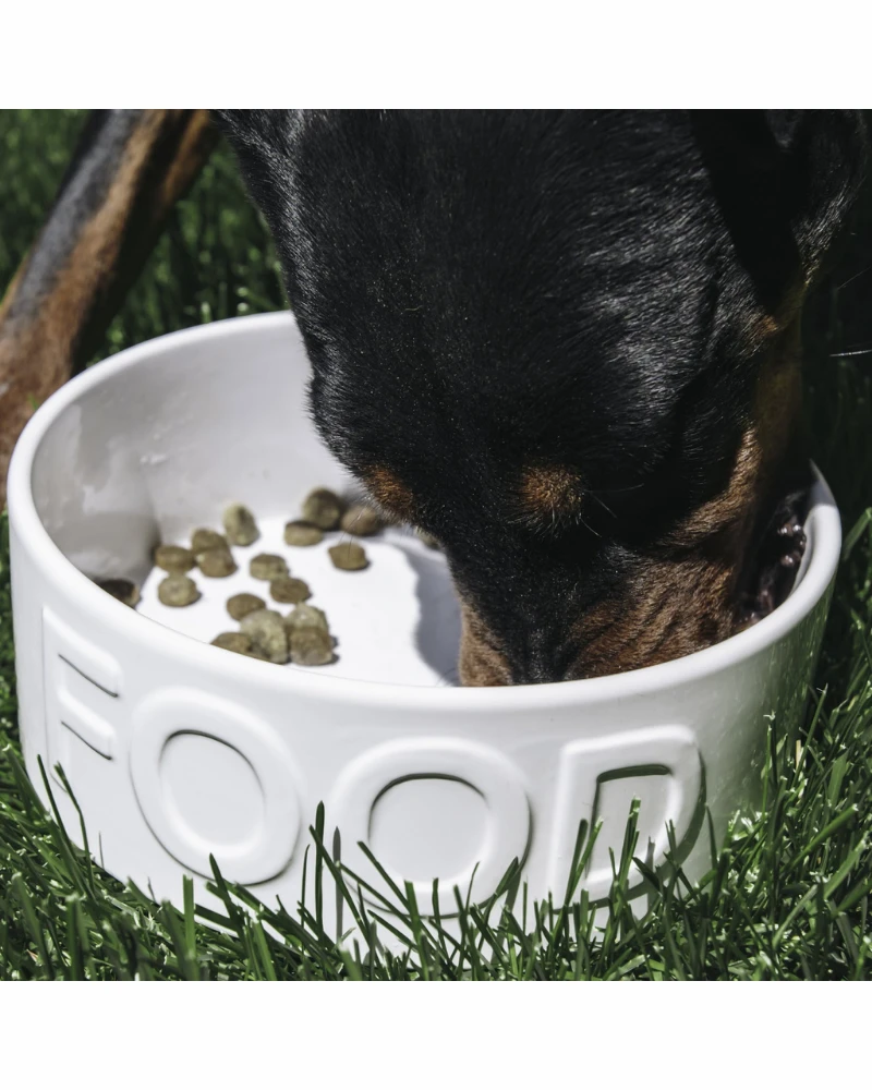 PARK LIFE DESIGNS Classic Food Ceramic Pet Bowl In White 5 PARK LIFE DESIGNS Classic Food Ceramic Pet Bowl In White - Image 5