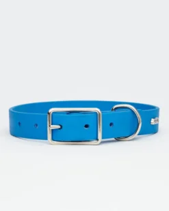 HOT DOGS ALL DRESSED Sky Blue Vegan Leather Dog Collar With Clouds (Made In Canada) -Pet Sale Shop 15 1daa5fd7 ffb6 4185 a63c 9532b5fbb380