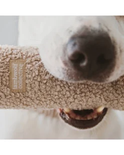 LAMBWOLF COLLECTIVE O Nou Oversized Interactive Dog Toy In Oat -Pet Sale Shop 15 676d8d07 8fe4 4c7f 941c bf23889fa5a5