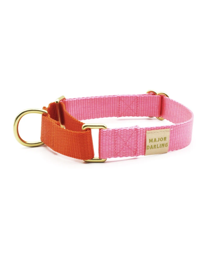 MAJOR DARLING Martingale Dog Collar In Pink + Orange (Made In The USA) 3 MAJOR DARLING Martingale Dog Collar In Pink + Orange (Made In The USA) - Image 3