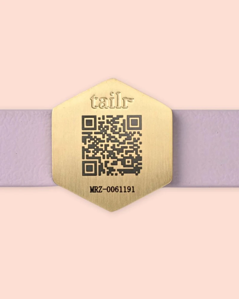 TAILR Tailr QR ID Tag For Pets (Slide Tag) 2 TAILR Tailr QR ID Tag For Pets (Slide Tag) - Image 2