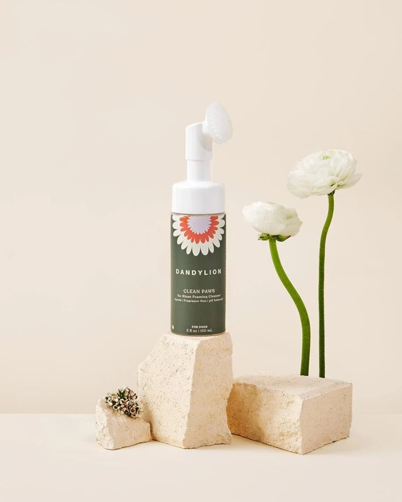 DANDYLION Clean Paws No-Rinse Foaming Cleanser For Dogs (Vegan & Cruelty Free) 3 DANDYLION Clean Paws No-Rinse Foaming Cleanser For Dogs (Vegan & Cruelty Free) - Image 3