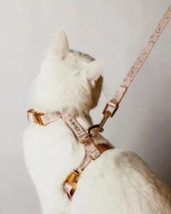 Bloire Meadow Matching Cat Harness & Leash Set -Pet Sale Shop 1 12a0ac03 28e1 4e17 94ca 08f8d89bad31