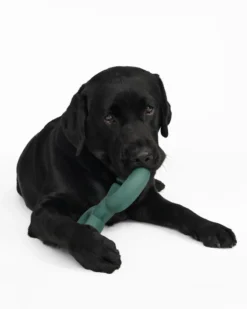 FABLE Twin Falcon Interactive Dog Toy -Pet Sale Shop 1 1ec8ee0a ffed 49cb b9cf d233fb4067cf