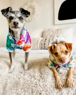 SHANNA'S TIE DYE Tie Dye Dog Hoodie In Rainbow -Pet Sale Shop 1 2d4a93fa 4922 46b5 95dd 70a1989de400