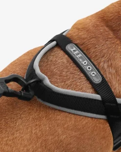 ZEE.DOG SoftWalk No-Pull Dog Harness (FINAL SALE) -Pet Sale Shop 1 321f9796 af0c 4a6e 905f c6471bd3b328