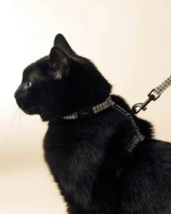 Bloire Green Plaid Matching Cat Harness & Leash Set -Pet Sale Shop 1 34ebf423 2924 43ca 8c12 62d6a22e70d7