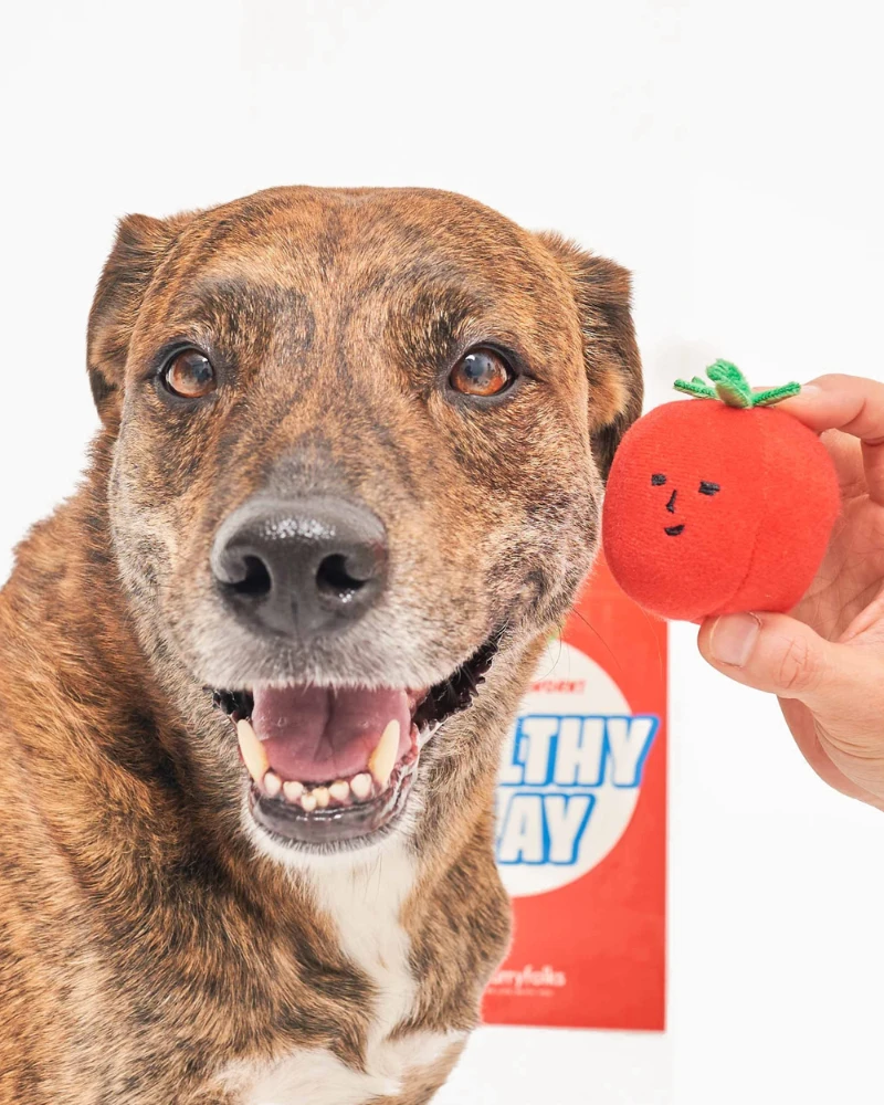 THE FURRYFOLKS Cherry Tomato Nose Work & Tug Dog Toy 7 THE FURRYFOLKS Cherry Tomato Nose Work & Tug Dog Toy - Image 7