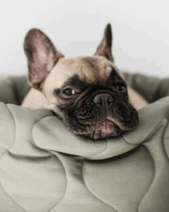 LAMBWOLF COLLECTIVE Taart Reversible Donut Pet Bed (FINAL SALE)