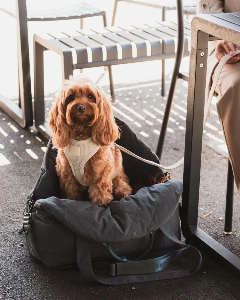 FUZZYARD Multipurpose Carrier & Car Seat 2 FUZZYARD Multipurpose Carrier & Car Seat - Image 2