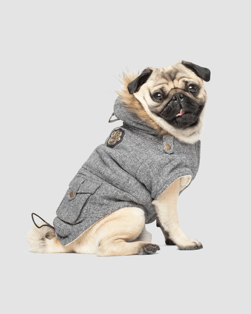 CANADA POOCH Alaskan Army Dog Parka In Salt And Pepper (FINAL SALE) 2 CANADA POOCH Alaskan Army Dog Parka In Salt And Pepper (FINAL SALE) - Image 2