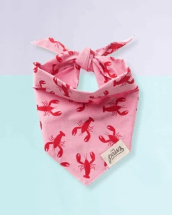 THE PAWS Frye Island Lobster Dog Bandana