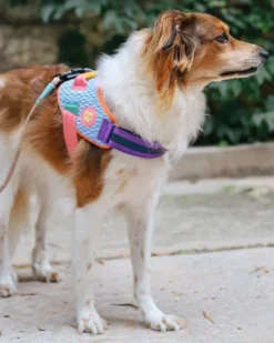 ZEE.DOG Flyharness In Galaxy For Dogs -Pet Sale Shop 1 6c5795ac 7862 4a59 9d44 e7476d1c767b