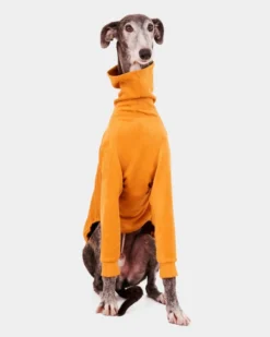 FORGALGO Long Sleeve Dog Turtleneck In Yellow (FINAL SALE) -Pet Sale Shop 1 6d5641cd fc8d 4bf6 b3e2 c3e74663741f