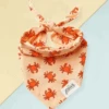 THE PAWS Mr. Crabby Dog Bandana