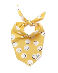 THE PAWS Smiley Friends Dog Bandana 11 THE PAWS Smiley Friends Dog Bandana -Pet Sale Shop 1 87d58d6a 12fd 448a 9975 555e197de9a9