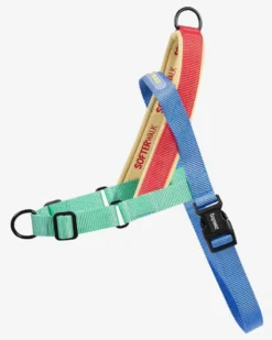 ZEE.DOG SoftWalk No-Pull Dog Harness (FINAL SALE) -Pet Sale Shop 1 8e05b518 54fe 40c6 889b 6c6654193c14