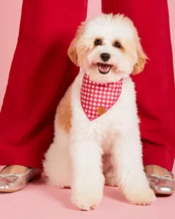 THE FOGGY DOG Raspberry Gingham Dog Bandana (Made In The USA) -Pet Sale Shop 1 9294493b d4cc 4199 9f84 3aff9cd0e7a0