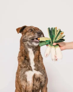 THE FURRY FOLKS Green Onion Nosework Dog Toy -Pet Sale Shop 1 9c909385 bc1a 4753 808d 2a71b6f922de