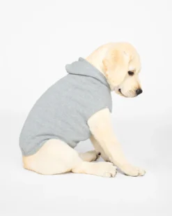 BROCHU WALKER The Cashmere Dog Hoodie Dog & Co X Brochu Walker Exclusive -Pet Sale Shop 1 a1f0d69e 9410 4b0f bd3f bc904eade1b7