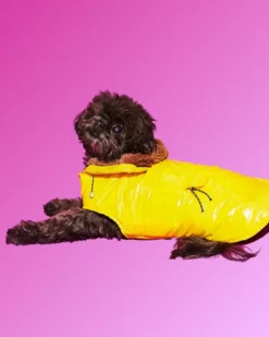 WARE OF THE DOG Shiny Puffer Dog Jacket W/ Faux Fur Hood (Made In The USA) (FINAL SALE)