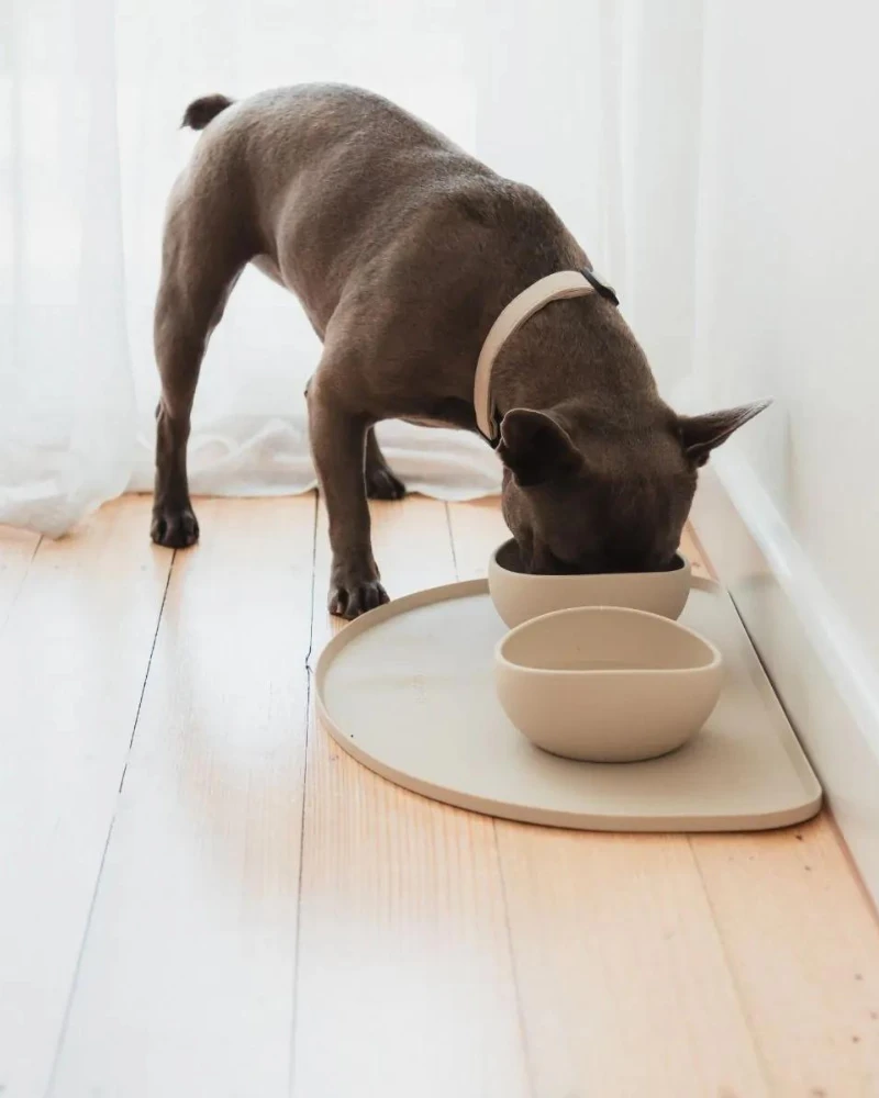 FUZZYARD Silicone Placemat In Sandstone 1 FUZZYARD Silicone Placemat In Sandstone