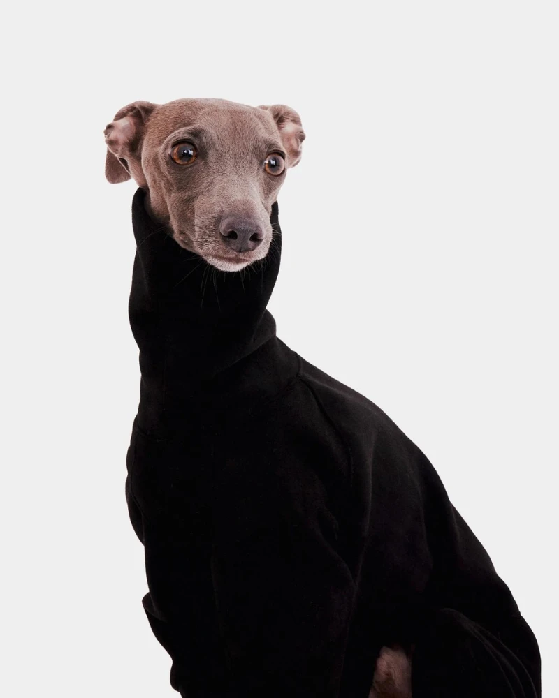 FORGALGO Dog Onesie In Black 2 FORGALGO Dog Onesie In Black - Image 2