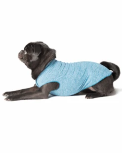 GOLD PAW Sun Shield Dog Tee In Ocean Blue (Made In The USA)