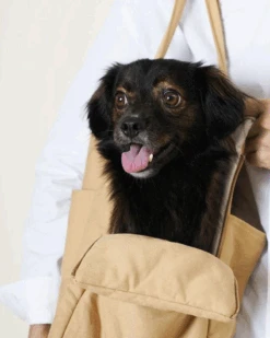 HOWLPOT The Day Carrier Pet Tote (FINAL SALE) -Pet Sale Shop 1 cfd19309 4fd8 48e4 b6a4 01538999fbce