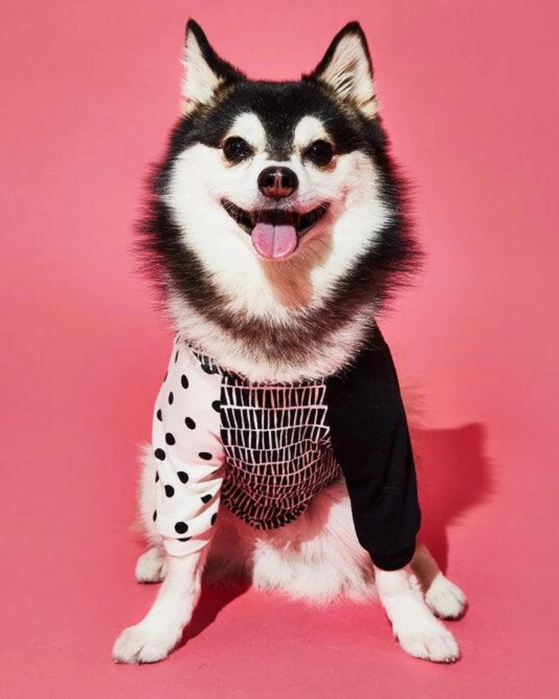 WARE OF THE DOG Geometric Print Dog T-Shirt (Made In The USA) 1 WARE OF THE DOG Geometric Print Dog T-Shirt (Made In The USA)