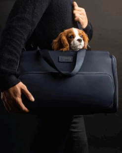DIGGS Passenger Travel Pet Carrier (Airline-Friendly)