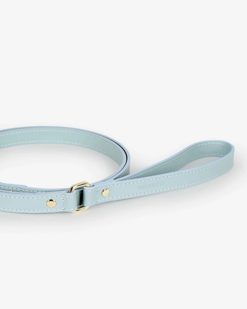 BRANNI Sky Blue Nara Leather Dog Leash With Brass Hardware (Made In Italy) 2 BRANNI Sky Blue Nara Leather Dog Leash With Brass Hardware (Made In Italy) - Image 2