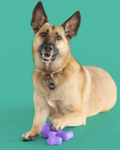 YOMP Funnybone Silicone Dog Toy -Pet Sale Shop 1 f50579c6 42c2 4a88 bff7 5a7c67f1618f