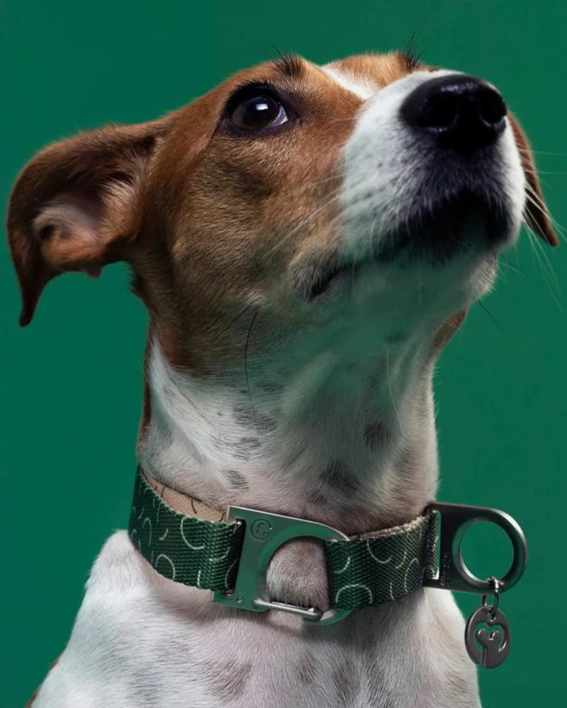 FUR SIE Sabine Vegan Dog Collar (FINAL SALE) 1 FUR SIE Sabine Vegan Dog Collar (FINAL SALE)